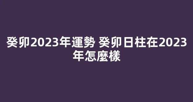 癸卯2023年運勢 癸卯日柱在2023年怎麼樣